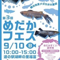 第3回めだかフェス　メダカ販売　めだかすくい　めだかくじ　湖畔の里福富