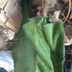 人工芝　汚れてますの画像