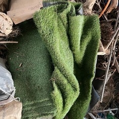 人工芝　汚れてますの画像