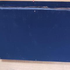 イシダイの剥製の画像