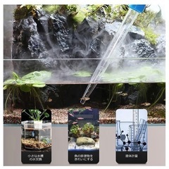 水槽　清掃　スポイド　糞掃除の画像