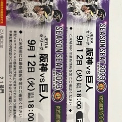 9月12日（火）阪神VS巨人18時〜ライト外野ペア！通路側席！