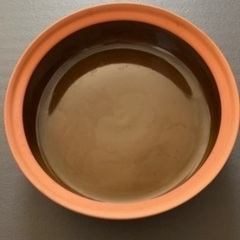 エゾアムプリンの耐熱の器差し上げます。の画像