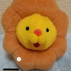 ポンデライオン🦁