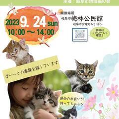 保護猫譲渡会