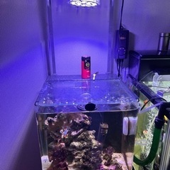 海道システム　