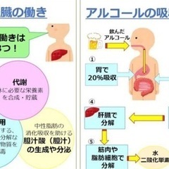 ダイエットカウセリング！の画像