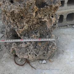 水岩石、庭石、盆栽用石の画像