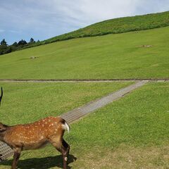 霊的感性がある方、ぜひ集まってください。