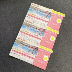 サマーランド株主優待　1DAYパス　３枚
