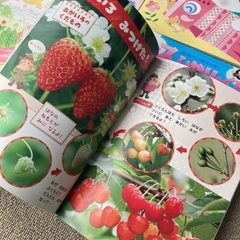 無料で差し上げます！絵本・図鑑7冊セットの画像