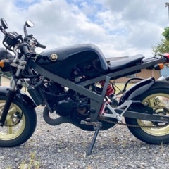 【売約済み】TZM50R エンジン載せ換え 125cc TZR125 実働の画像