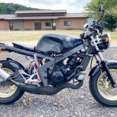 【売約済み】TZM50R エンジン載せ換え 125cc TZR125 実働の画像
