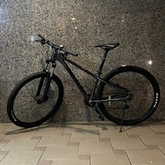 MERIDA  BIG.NINE 100 ビッグナイン100