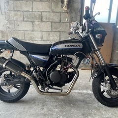 30→25  ホンダエイプ