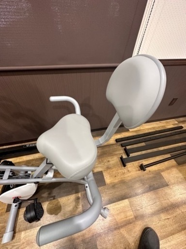 zepan&Nexgim フィットネスバイク 折りたたみ可能 省スペース トレーニングマット付き 初学者 家庭用エアロ バイク 【 マグネット式 静音設計 APPデータ管理 】自宅 ダイエット器具 トレーニングバイク NEXGIM MG-X05 ホワイト