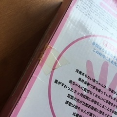 おたんじょうきろく パイロット  ねんどタイプの画像