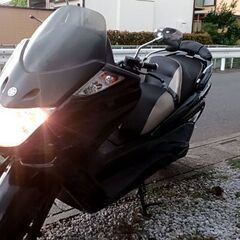 【値下げ！】実働マジェスティc250 SJ03 リミテッドエディション