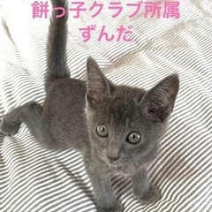 餅っ子クラブ所属　可愛い姉妹