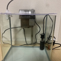 テトラ水槽