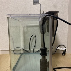 テトラ水槽の画像