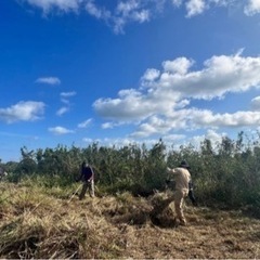 急募　1月15日（本日）草刈り及び草木の集草作業の画像