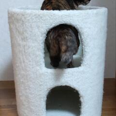 【取引中】キャットタワー、ペット用ベット、棚