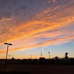 10月 土日にユニバに一緒に行きませんか？