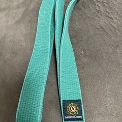 少林寺拳法　緑帯　2