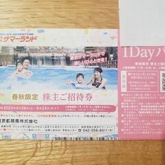 東京サマーランド 株主ご招待券 1Dayパス　4枚