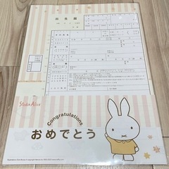 【新品未使用】ミッフィ　出生届　記念　提出用　保管用　2枚セット