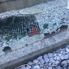 激レアユニオンビール鏡の画像