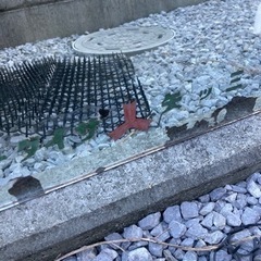 激レアユニオンビール鏡の画像