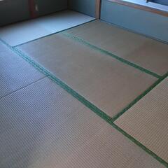 【御礼3万円】畳 18枚 差し上げますの画像
