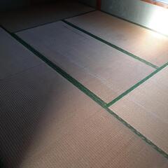 【御礼3万円】畳 18枚 差し上げますの画像