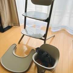 2025.6迄保証有/日本正規品/サイベックス　レモ3in1 グレー