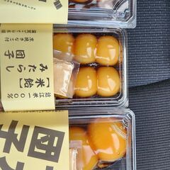 おすすめグルメ(ランチ) - メンバー募集