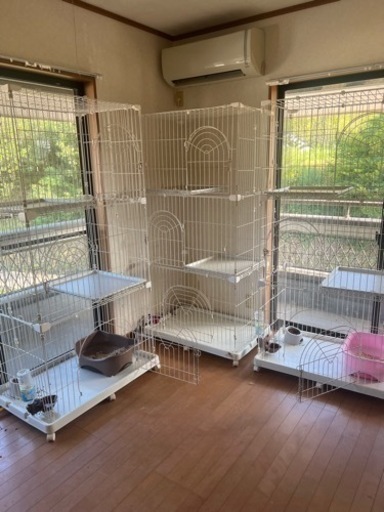 受け渡し者決まりました。キャットケージ、キャットタワー、キャットトイレ、猫砂、スコップ