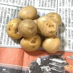 農家直送!!新じゃが(男爵)1袋200円～!!期間限定販売!!
