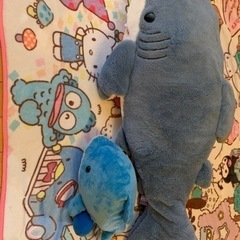 サメぬいぐるみ🐟