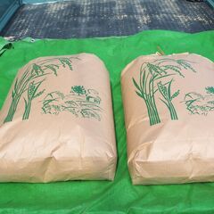令和５年９月に刈り取った美味しい新米味わって下さい。