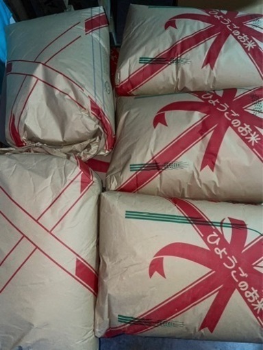 令和4年産 どんとこい米 30kg 【10本限定】