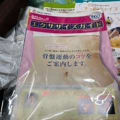 新品同様　ショップジャパン らくらく骨盤運動マシン ながらウォ-クの画像