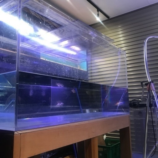 9/5 更新しました‼️水槽　大型水槽　小型水槽　水槽機材