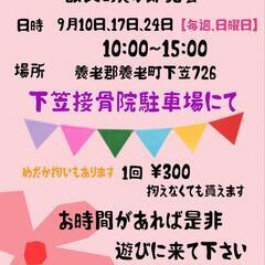 改良めだか即売