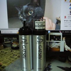 受付中止中・開封後未使用・新品ギャッツビー、１８５gソフト・ムー...