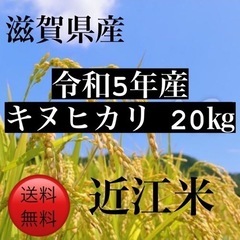 近江米　キヌヒカリ　20キロ　令和5年新米
