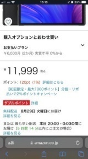 12インチのダブレット