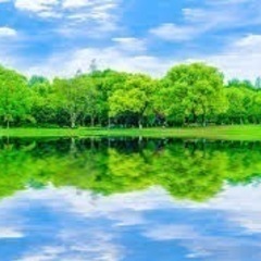平成7年組 - 杉並区