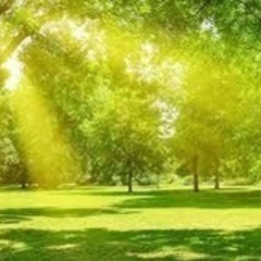 平成7年組 - 友達